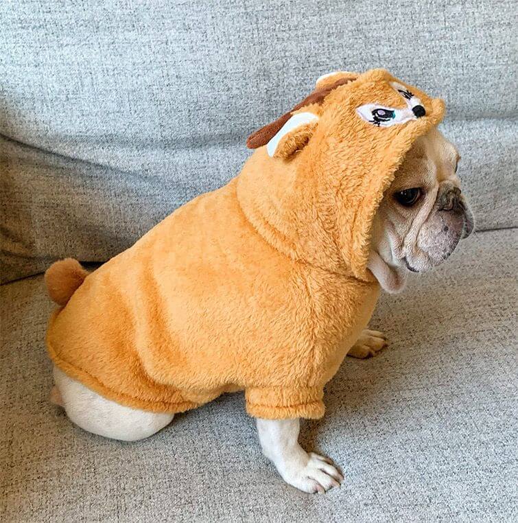 dog winter hoodie for medium dogs