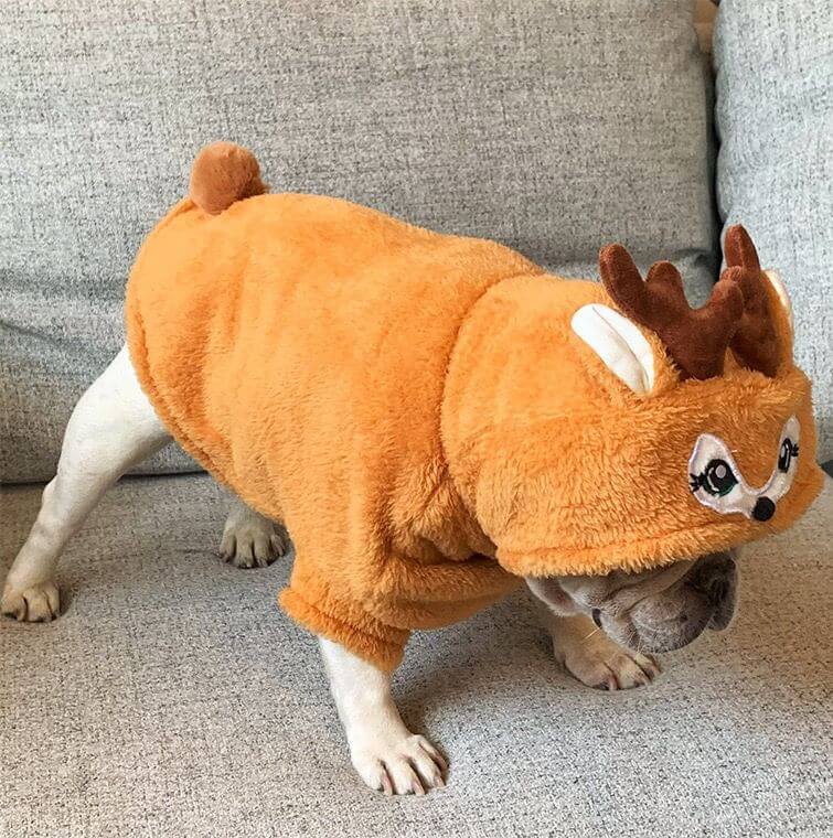Frenchiely dog Christmas outfits 