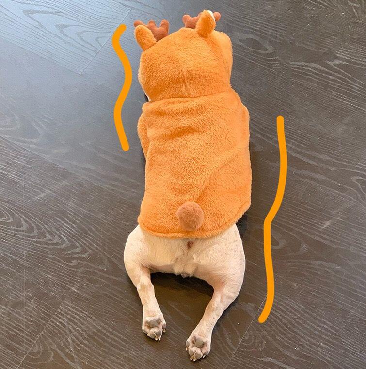 Frenchiely dog reindeer hoodie