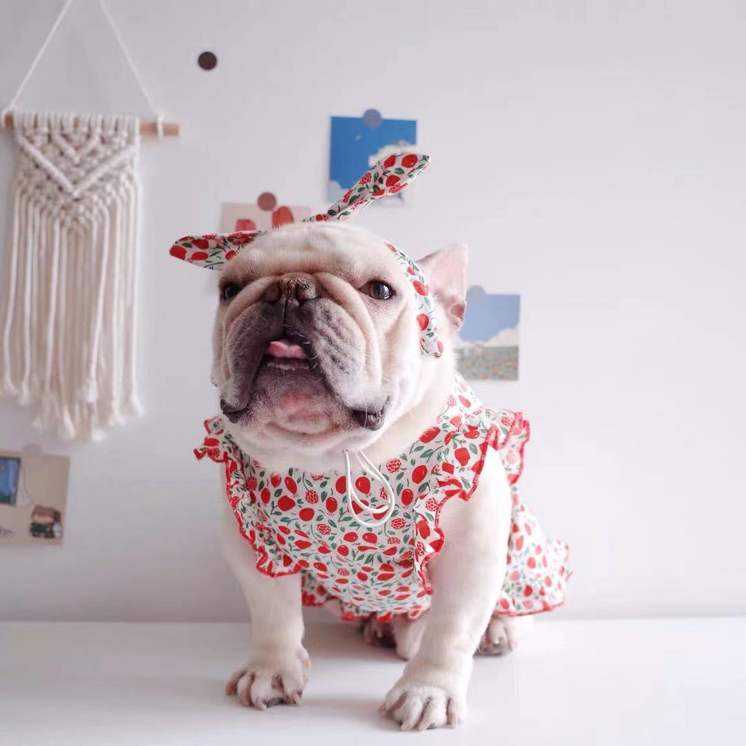 dog retro strawberry dress with headband