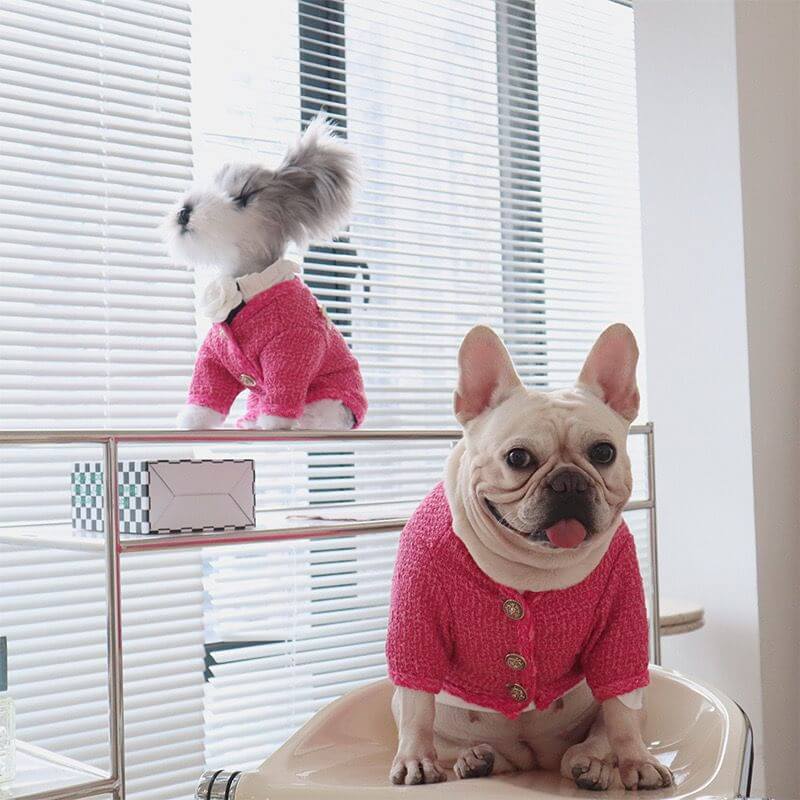 dog red jacket coat for small medium dogs
