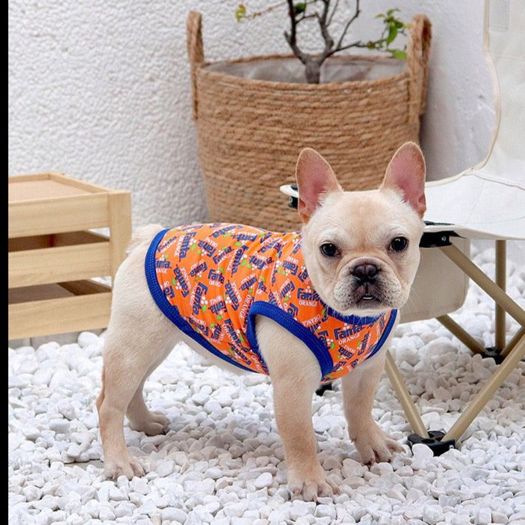 dog orange shirt for small medium dogs