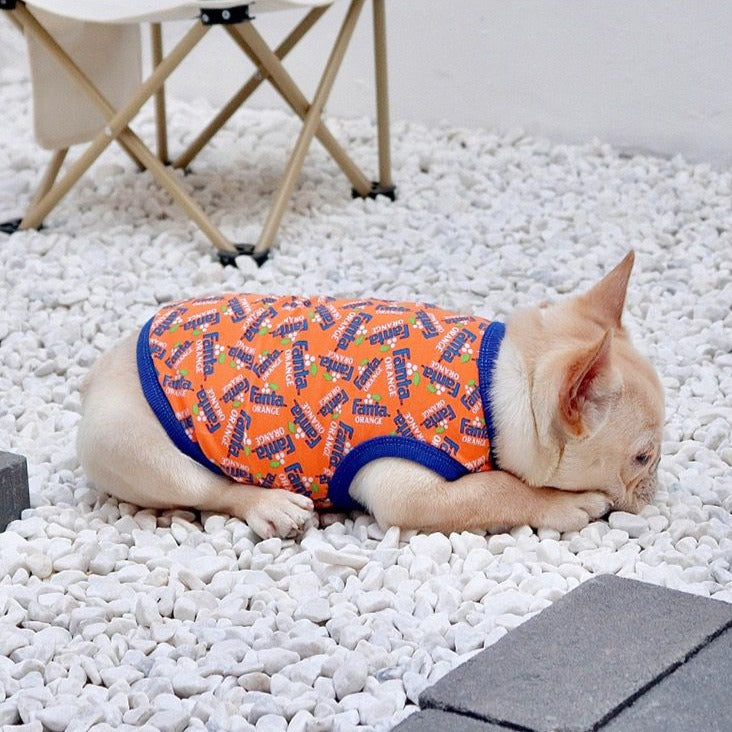 puppy french bulldog shirt for medium dogs