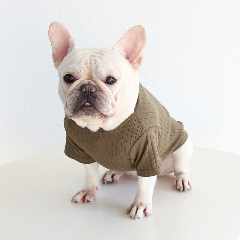 Dog Soft Stretchy Shirt with star pattern for small medium dogs 