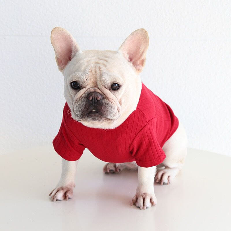 Dog Comfortable Star Shirt for small medium dogs 