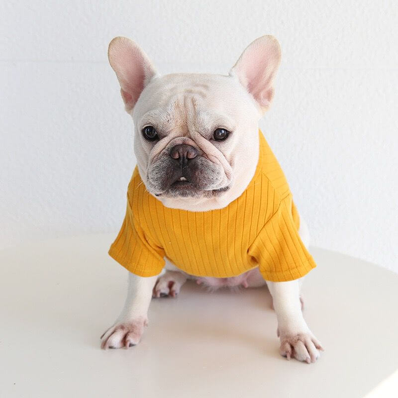 Dog Comfortable Shirt in yellow for small medium dogs 