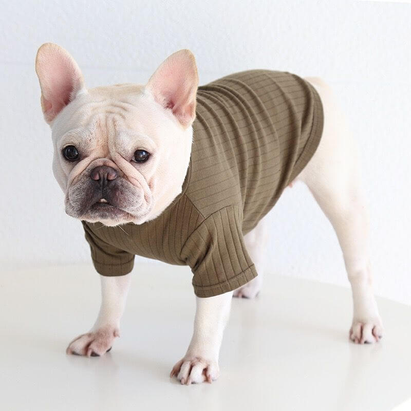 Dog Soft Stretchy Shirt in green