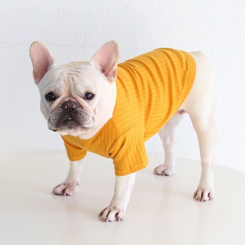 dog autumn shirt clothes for small medium dogs