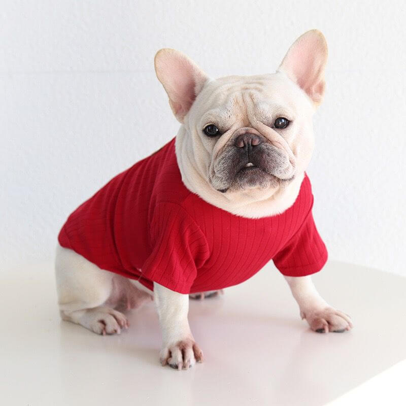 Dog red Shirt for small medium dogs 