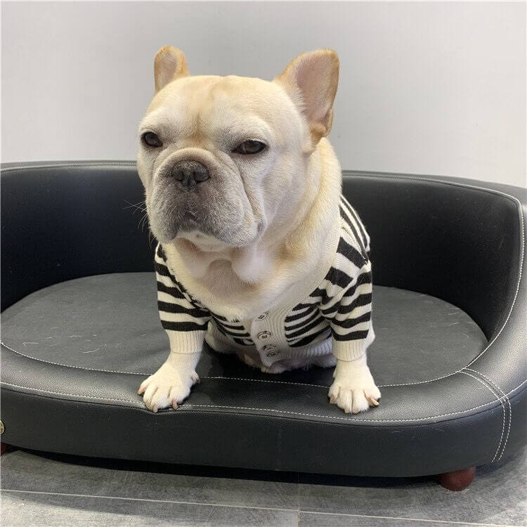 Dog Striped Cardigan Sweater for French Bulldog by Frenchiely 