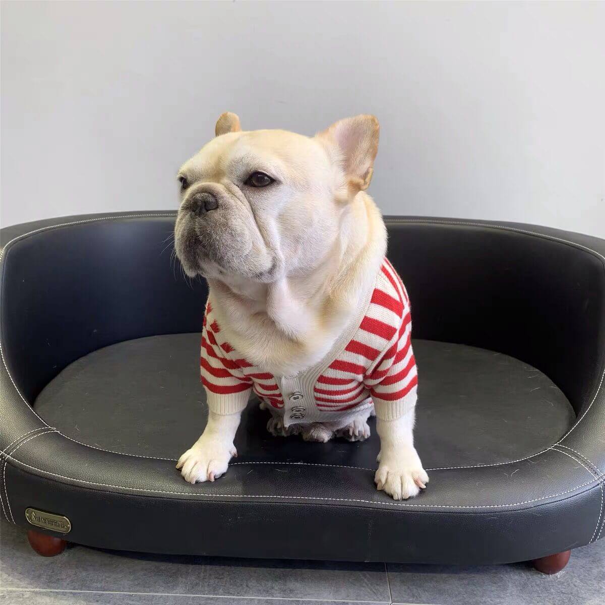 Dog Striped Cardigan Sweater for French Bulldog by Frenchiely 