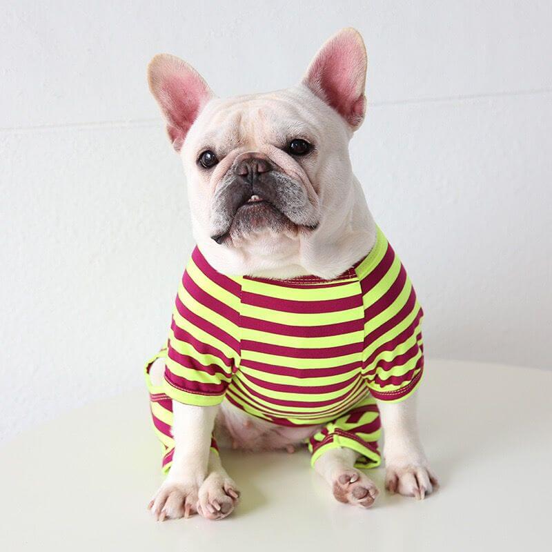 dog pink stripe pajamas for french bulldogs by Frenchiely