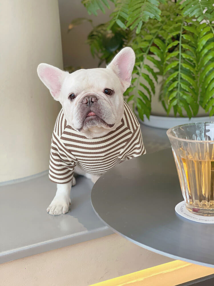 Dog brown Stripe Pajama Onesie for small medium dogs by Frenchiely 