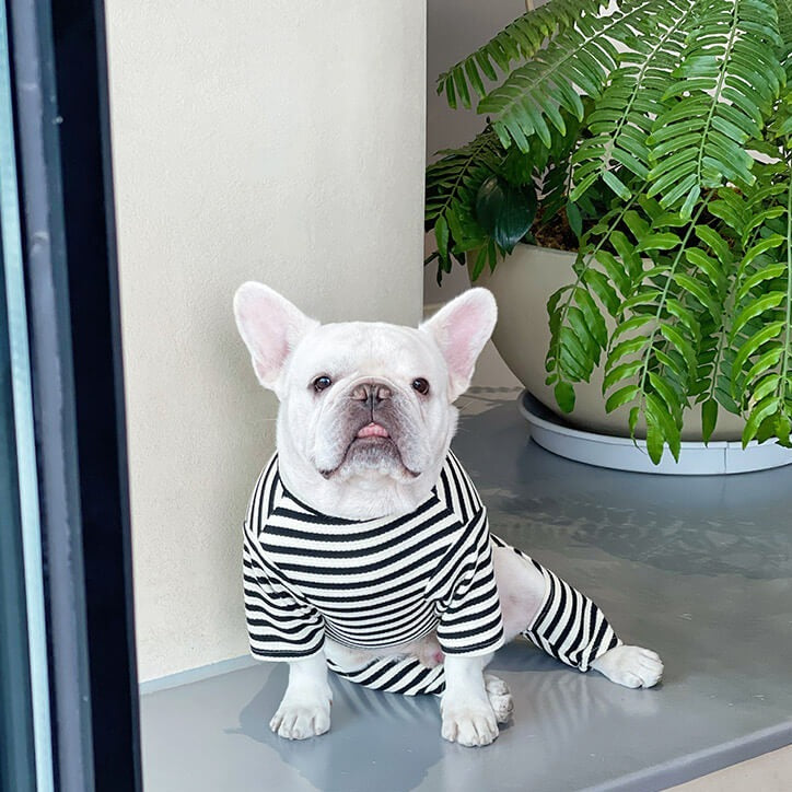 Dog Black Stripe Pajama Onesie for small medium dogs by Frenchiely 