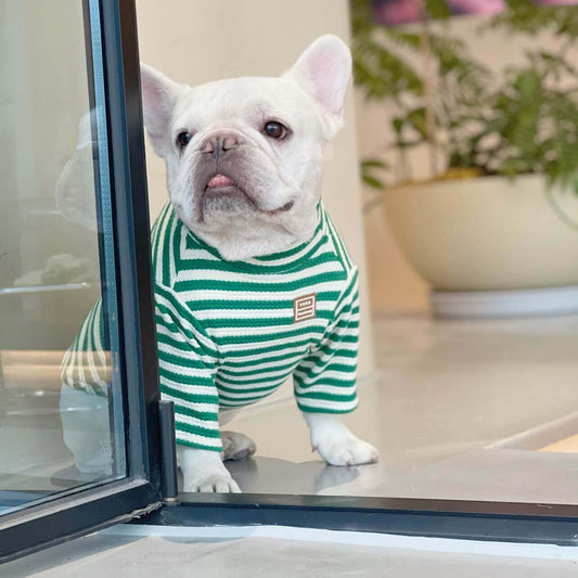 Dog green stripe shirt for small medium dogs