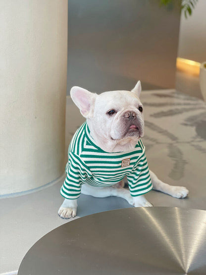 dog green striped shirt sweater for medium dogs