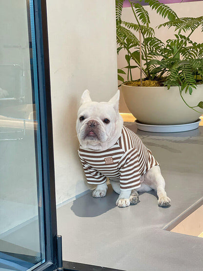 comfortable dog shirts for french bulldogs