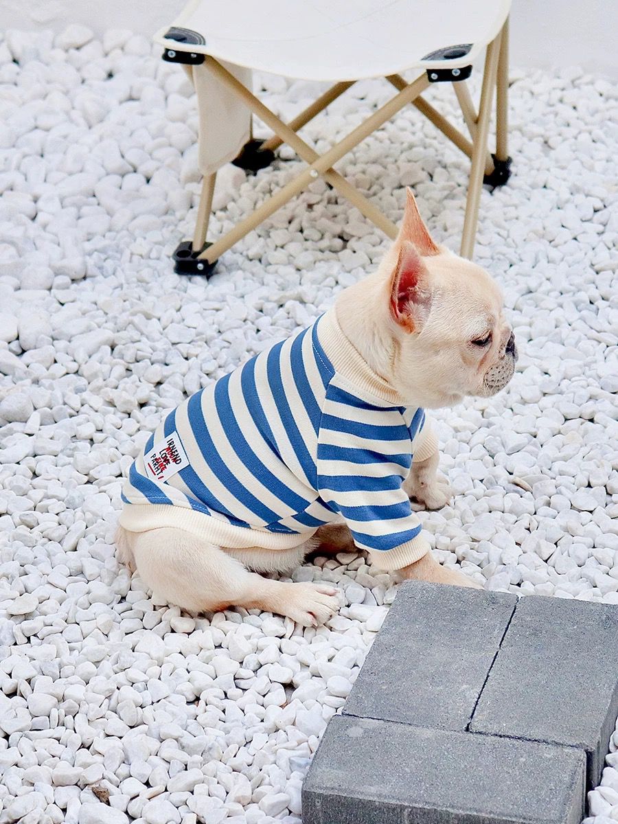 frenchiely dog stripe shirt for small medium dogs