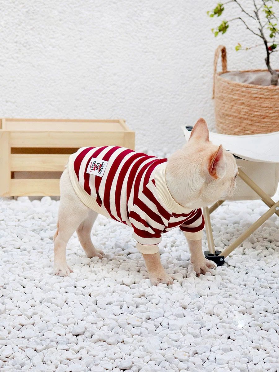 french bulldog puppy clothes
