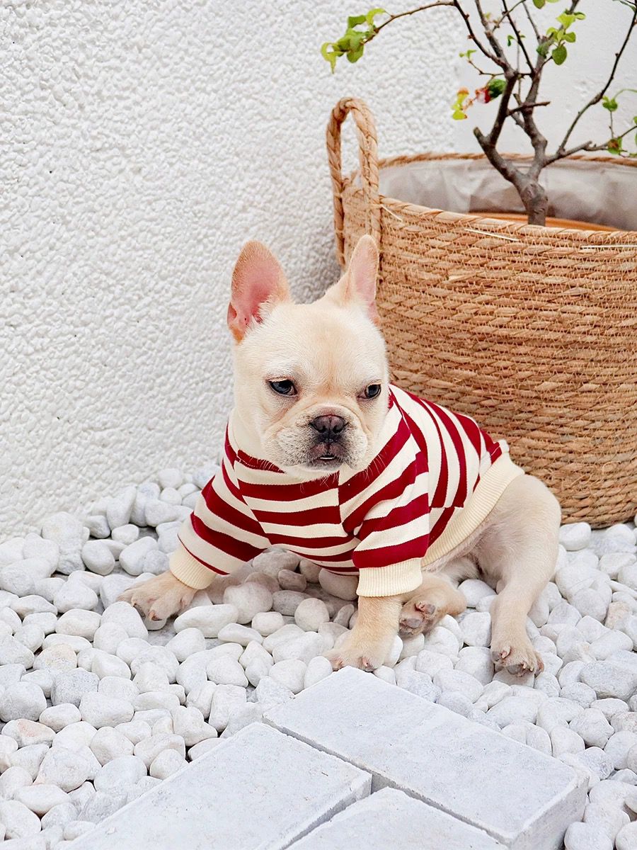 puppy striped shirt for small medium dogs