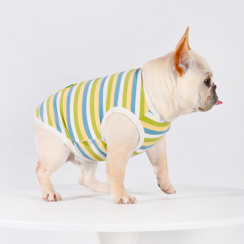 dog stripe shirt for small medium dogs by frenchiely