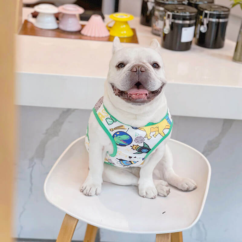 Dog UFO Shirt FOR MEDIUM LARGE DOGS BY FRENCHIELY