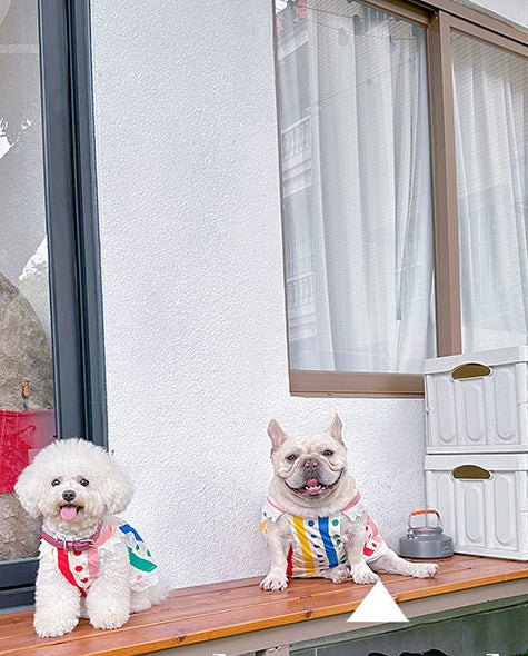 dog color polka dress for small medium dogs by Frenchiely