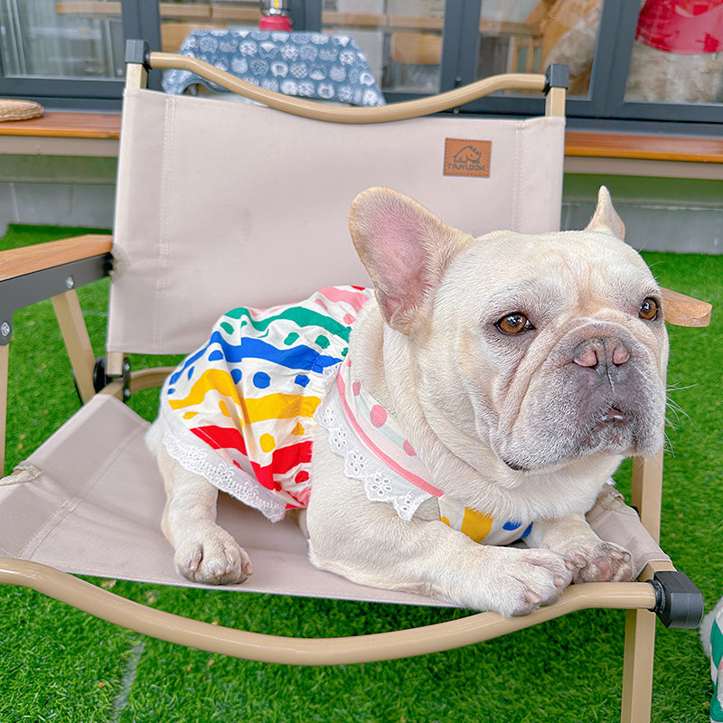 dog color polka dress for small medium dogs by Frenchiely