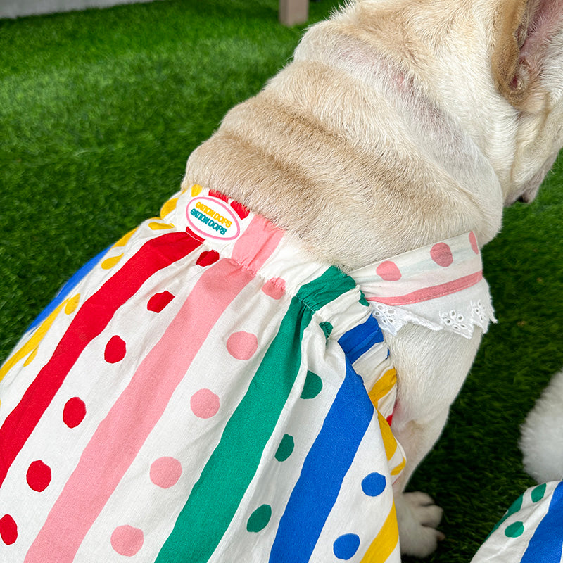 dog color polka dress for small medium dogs by Frenchiely