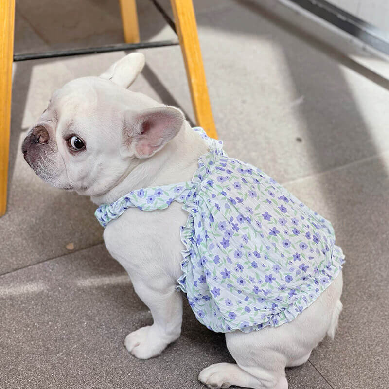 Purple Floral Dress for french bulldogs by Frenchiely