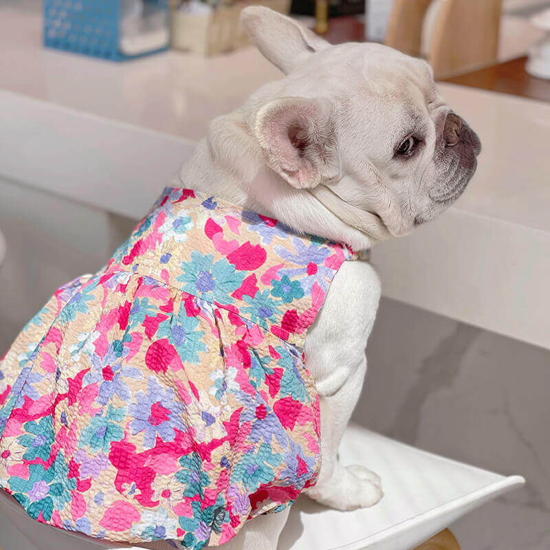 Dog Comfy Floral Dress for medium large dogs by Frenchiely