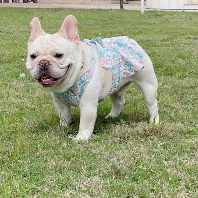dog floral dress with harness leash by Frenchiely.com