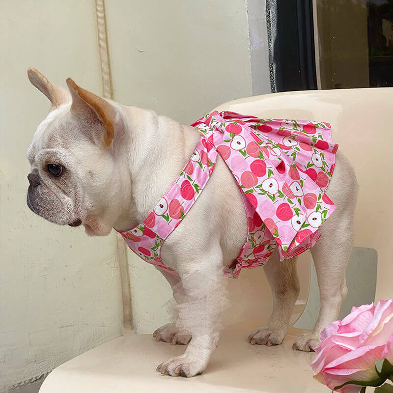 Dog summer pink litchi dress for small medium dogs by frenchiely 