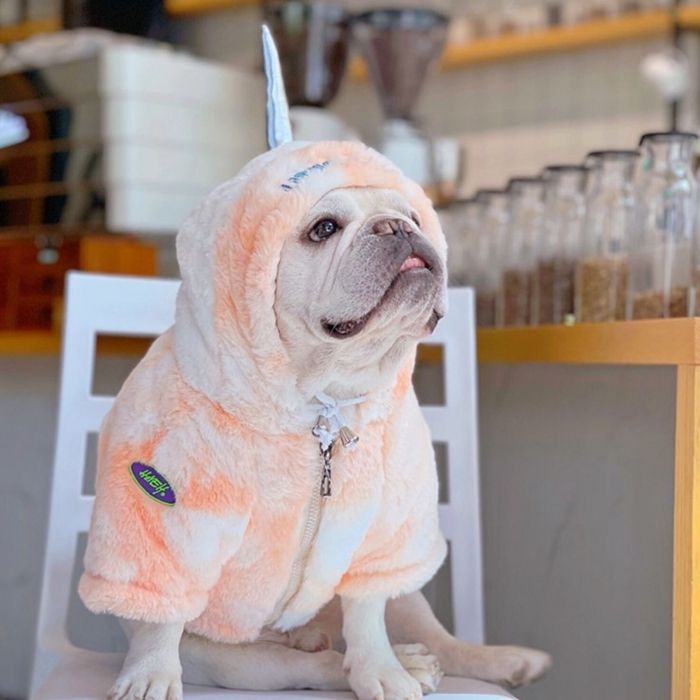 Unicorn sales dog coat