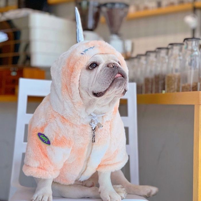 French Bulldog Unicorn Hoodie Coat by Frenchiely 01