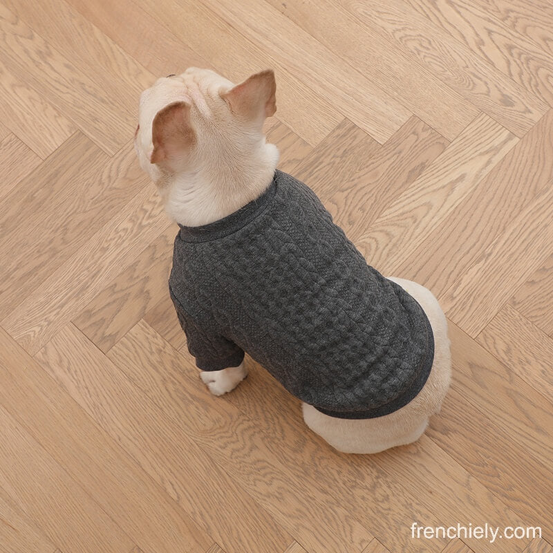 dog vintage crochet sweater for small medium dogs by Frenchiely