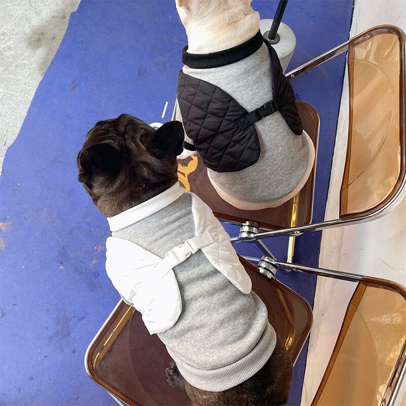 dog grey pullover sweater 