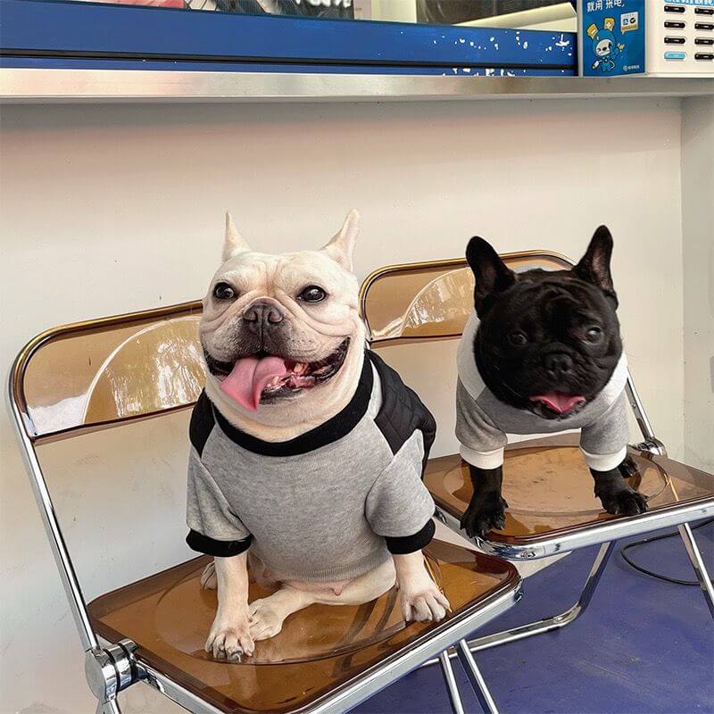 dog black pullover sweater 