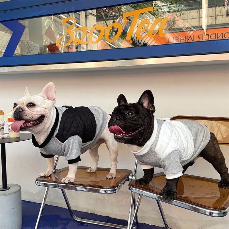 dog winter hoodie sweatshirt