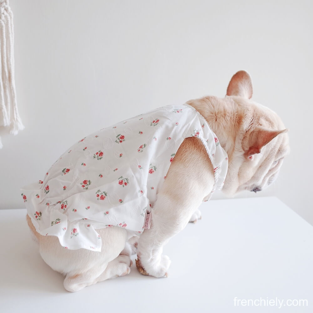 dog white floral dress for small dogs by Frenchiely