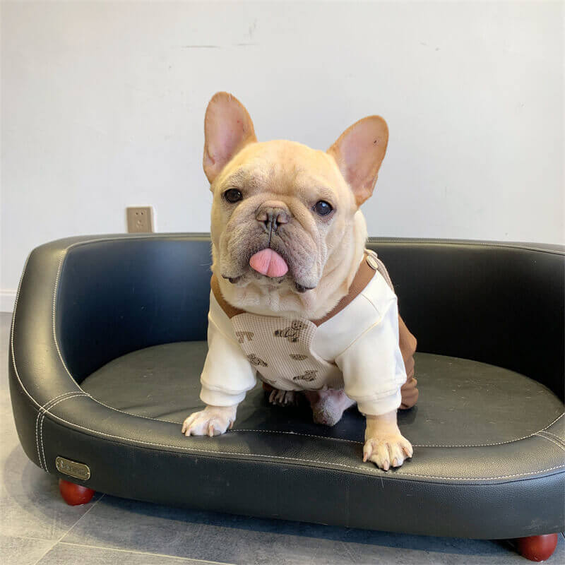 Chainz Dog Price Chainz Dog Price Handmade Burnt Orange Hemp 'Step