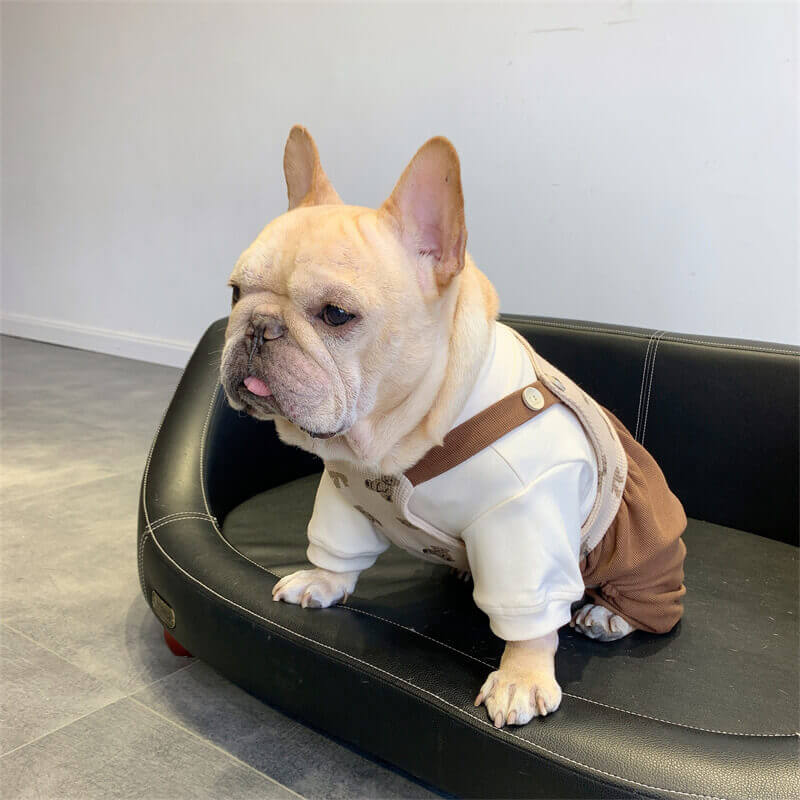 french bulldog winter clothes