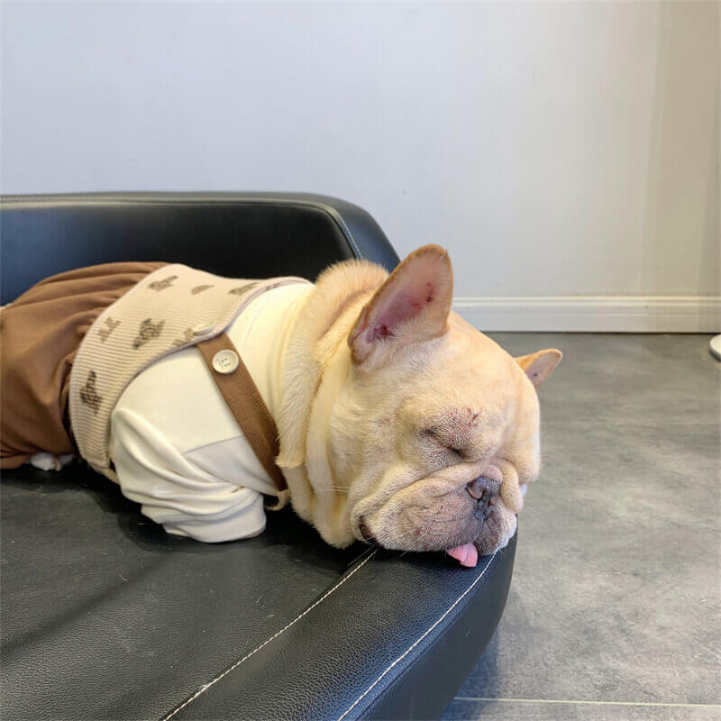 French bulldog winter overalls by Frenchiely