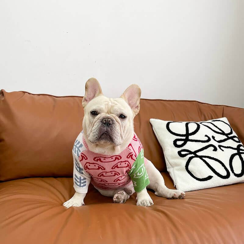 Dog Cartoon Pullover Sweater for small medium dog breeds 