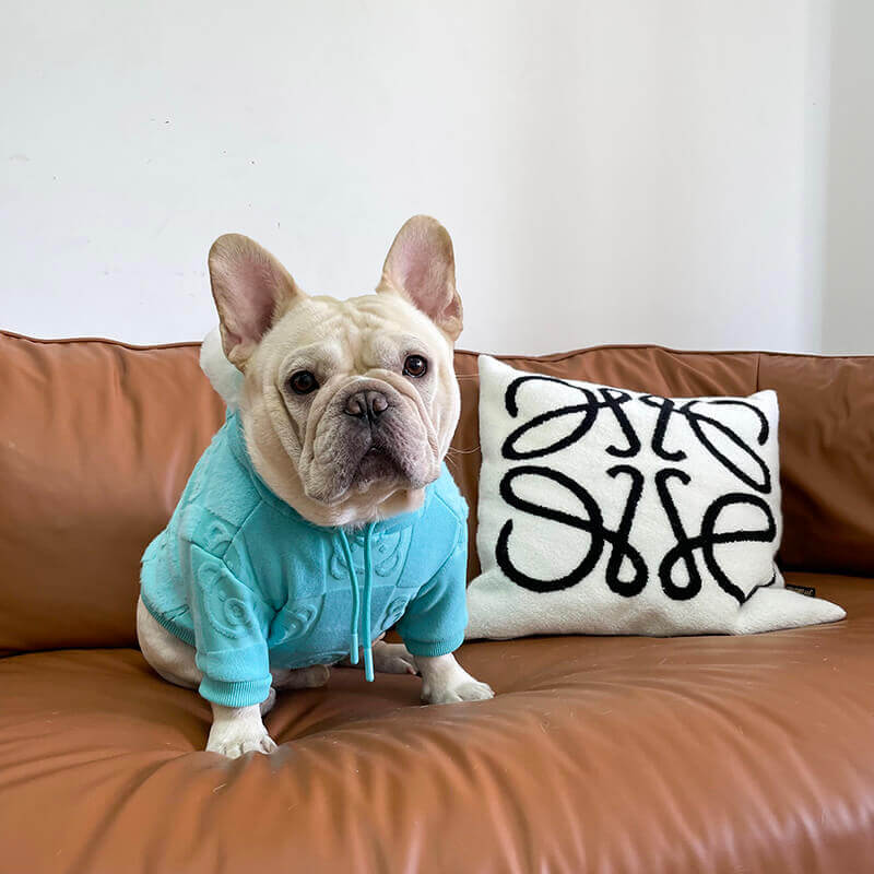 FRENCH BULLDOG WINTER HOODIE 