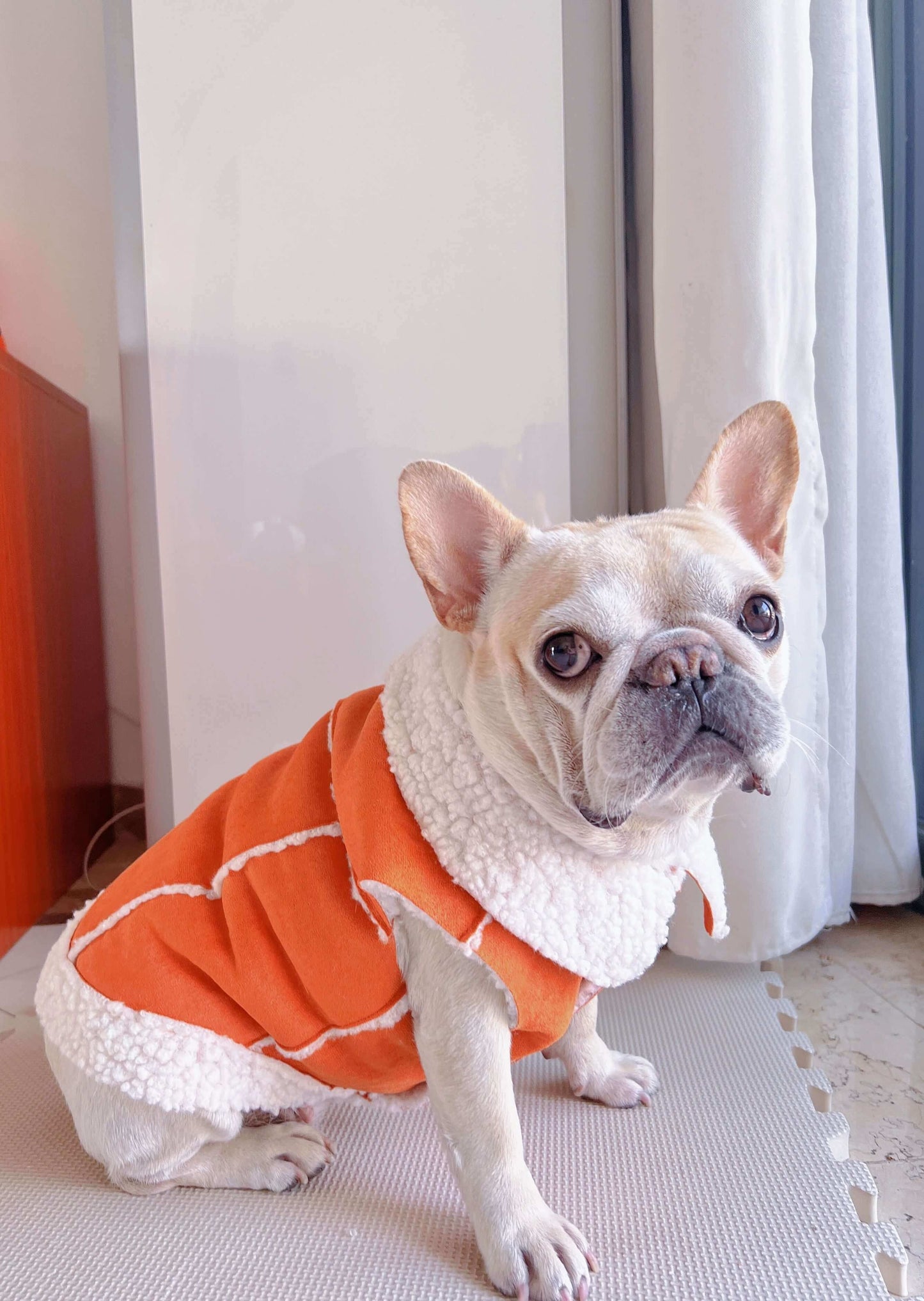 dog winter suede jacket coat for small medium dog breeds by Frenchiely 