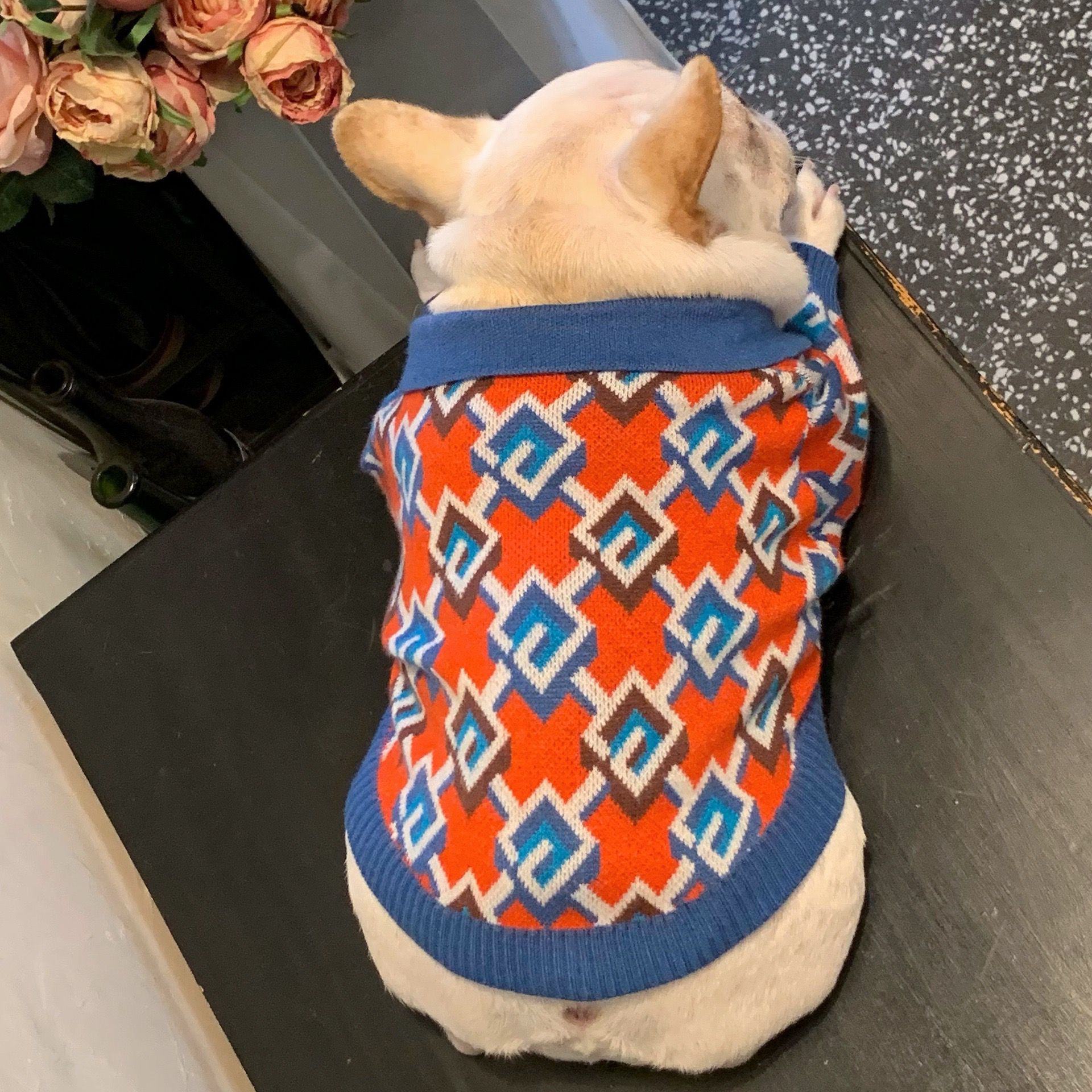 dog sweater crochet