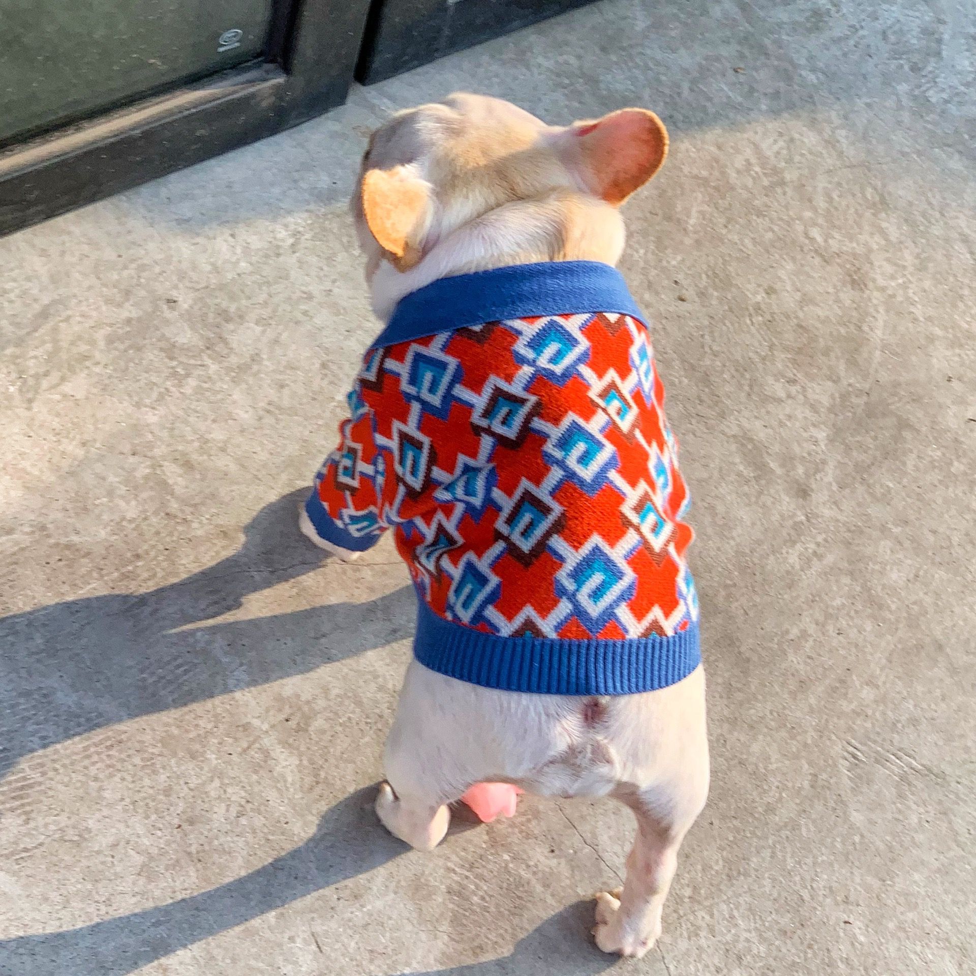 medium dog sweaters for french bulldogs