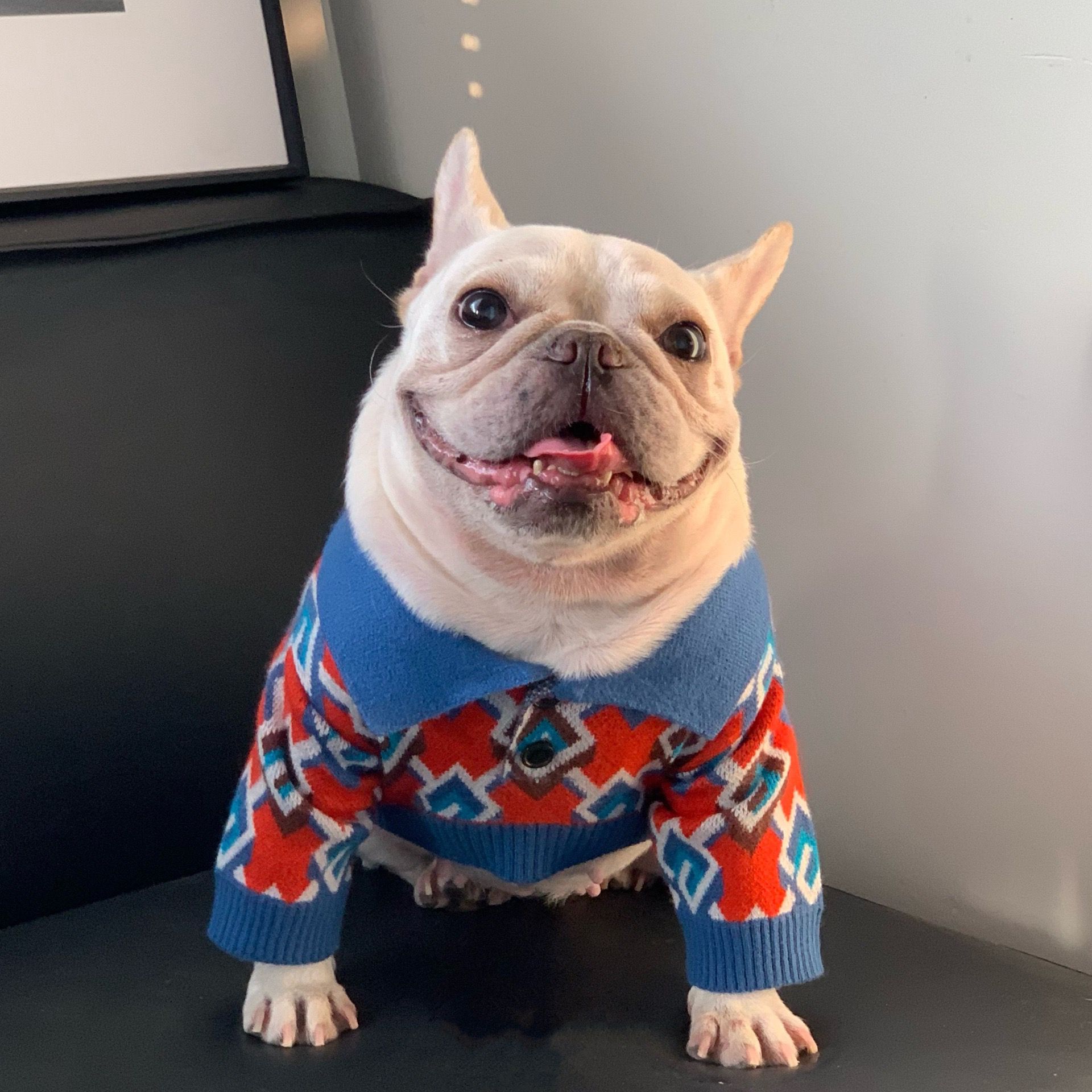 dog sweater knitting pattern free
