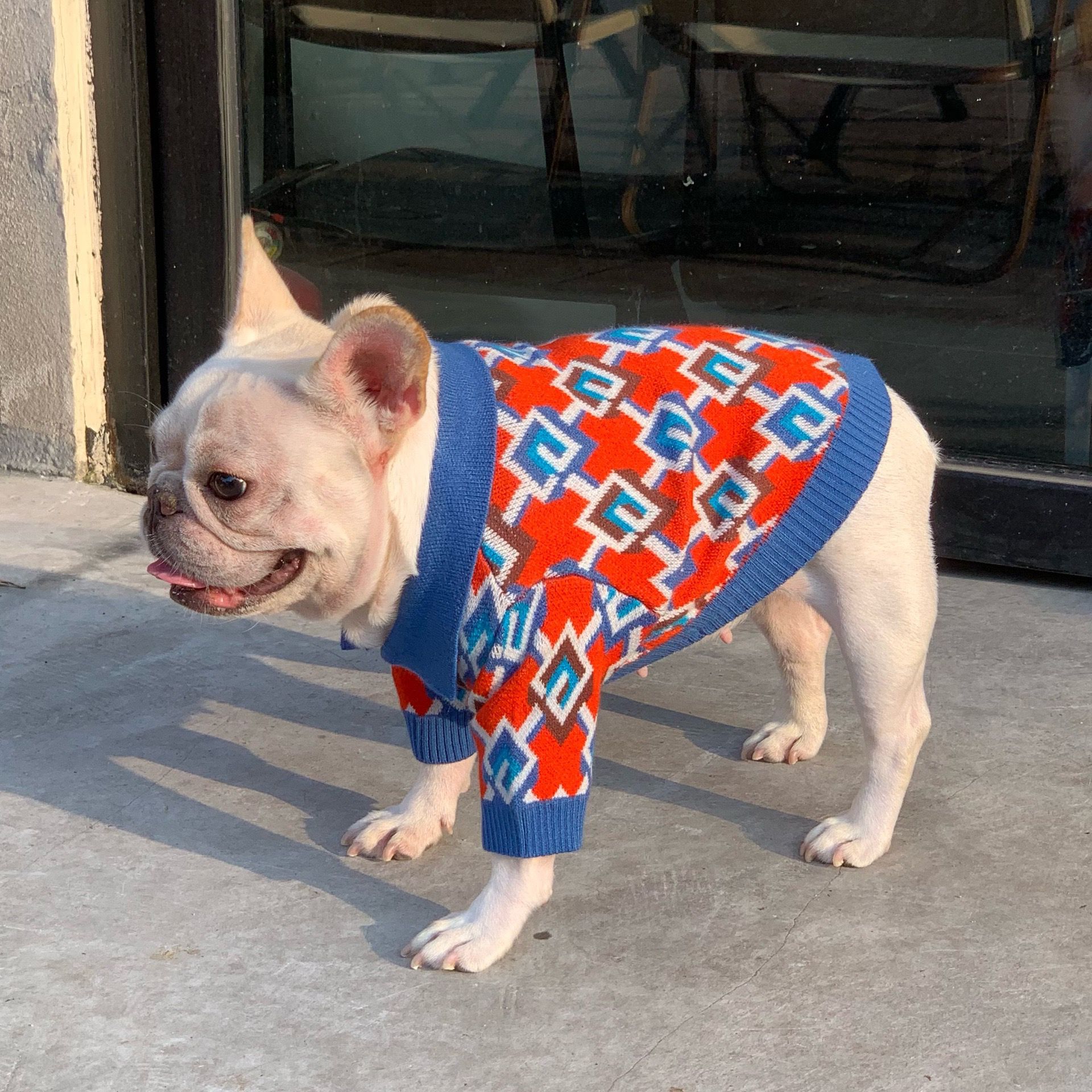 dog sweater christmas for medium dogs